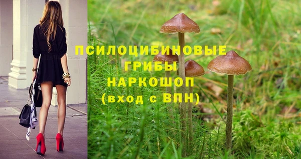мет Богданович