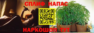 бошки Шебекино