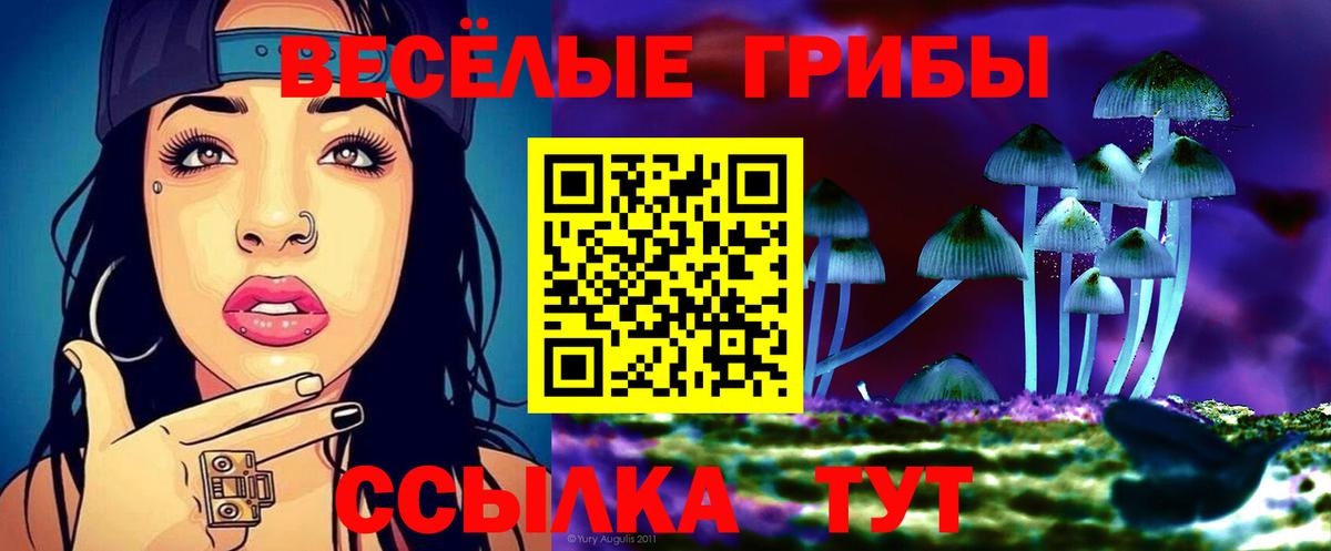 купить закладку  Вход с VPN  Маркс  Галлюциногенные грибы Psilocybine cubensis 